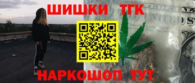 гидра Дубна