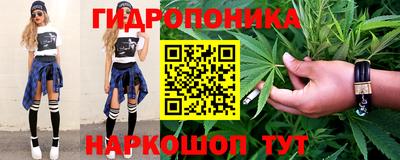 гидра Дубна