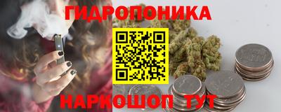 гидра Дубна