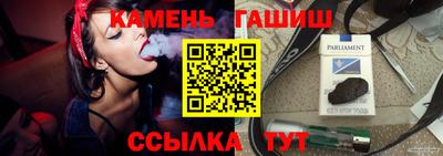 гидра Дубна