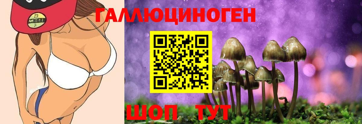 Галлюциногенные грибы мицелий Менделеевск